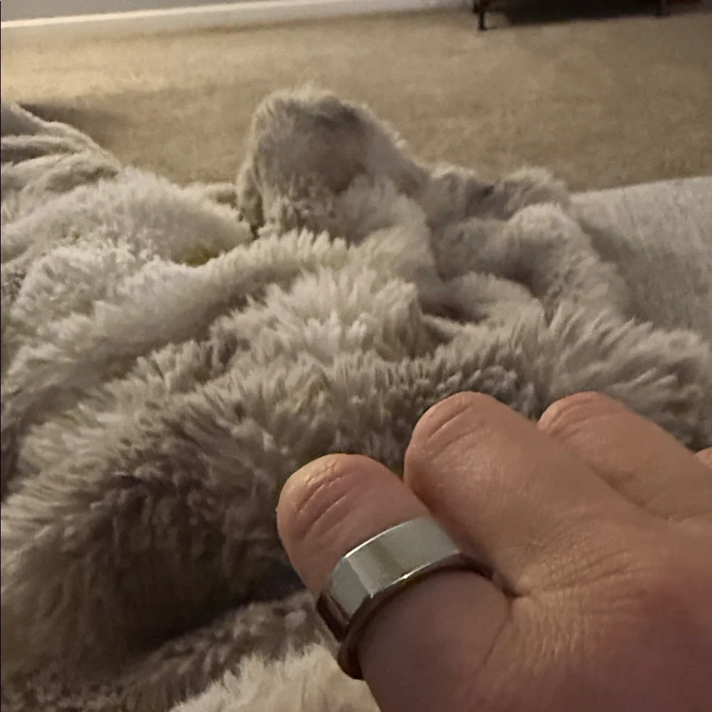 Oura Silver Ring 3